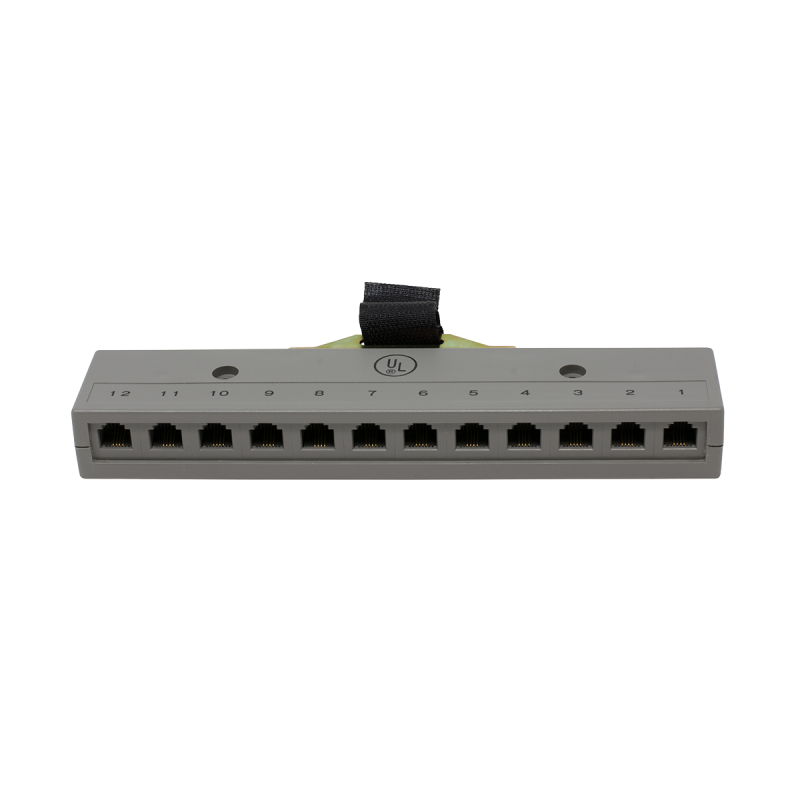 12 Port 2 Pair Harmonica With Male Amp Connector