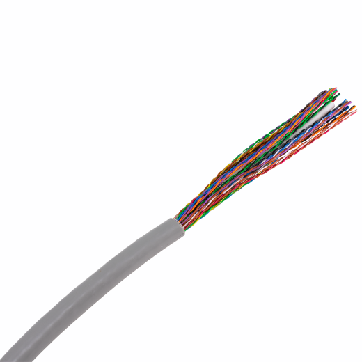 Bulk Cut 25 Pair Cat5e Pvc Cable (1 Foot)