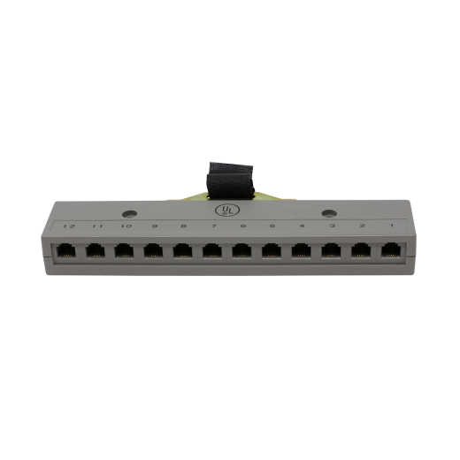12 Port 2 Pair Harmonica with Male Amp Connector