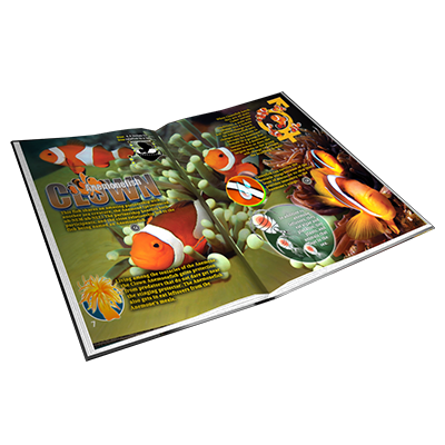 Popar Undersea Alive 4D Smart Toys & App-11 Pc Set