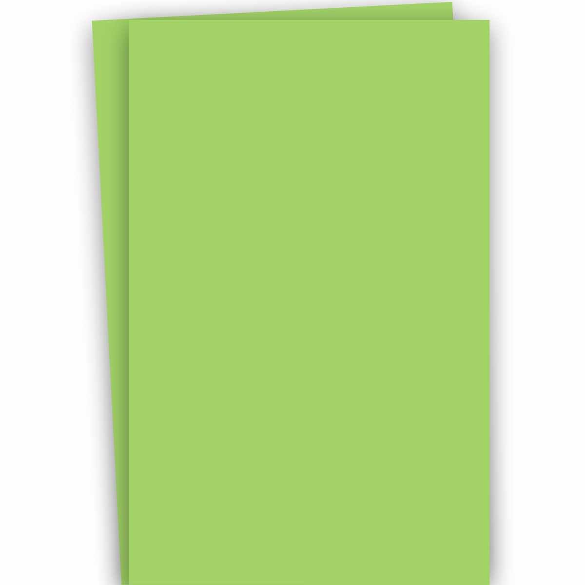Burano SPRING GREEN (60) - Folio 27.5X39.3-in Lightweight Cardstock Paper 