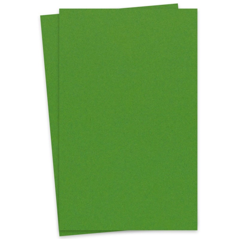 [Clearance] Extract - Cactus 11-X-17 Ledger Size Cardstock Paper 380 ...