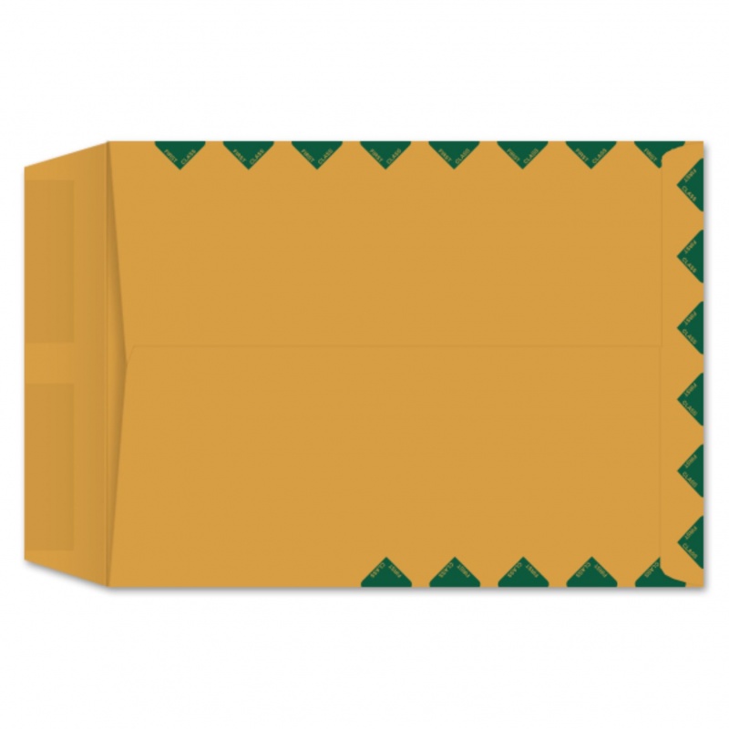 9 X 12 Catalog Envelopes - 28Lb Brown Kraft With First Class Border - 500 Pk