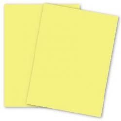 Plike (Plastic-Like) Paper - 8.5 x 11 - WHITE - 122LB COVER - 250 PK