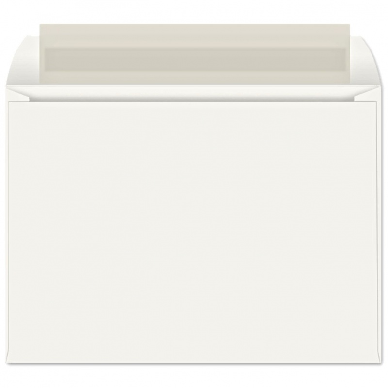 Booklet Envelopes Peel & Seal - 28Lb White Wove (9 X 12) - 500 Box