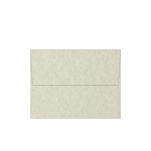 CLASSIC LINEN 12 x 18 Paper - Classic Natural White - 80lb TEXT - 250 PK -c