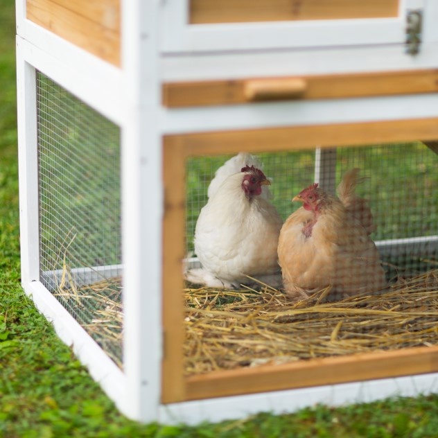 Chicken Coop With Herb Planter