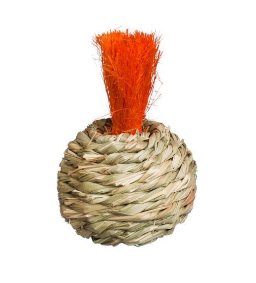 Grassy Nibblers Squash Toy for Small Animal Pets