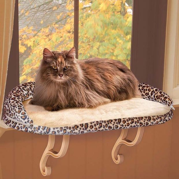 Deluxe Kitty Sill With Bolster