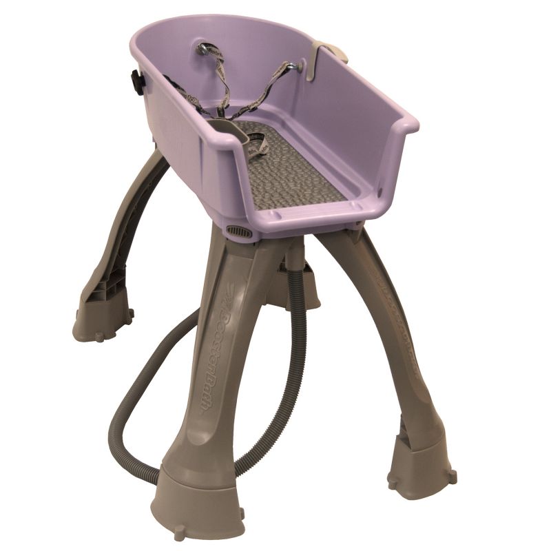 Elevated Dog Bath And Grooming Center