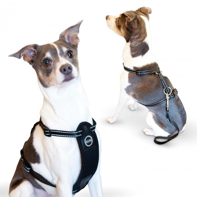 Travel Safety Pet Harness