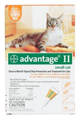 Flea Control For Cats 1-9 Lbs 6 Month Supply