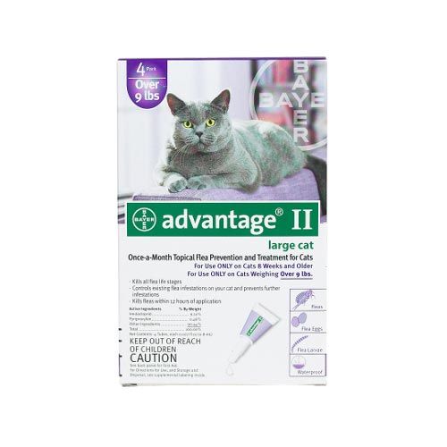 Flea Control For Cats And Kittens Over 9 Lbs 4 Month Supply