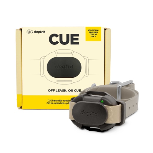Dogtra Cue Additional Receiver Collar
