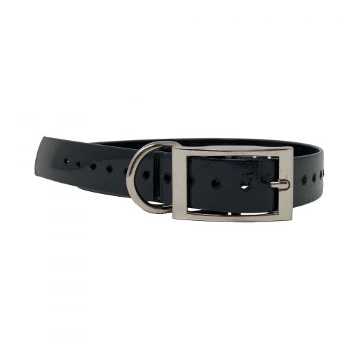 Replacement Collar Strap 1" from Buzzard's Roost - Durable and Adjustable Dog Collar