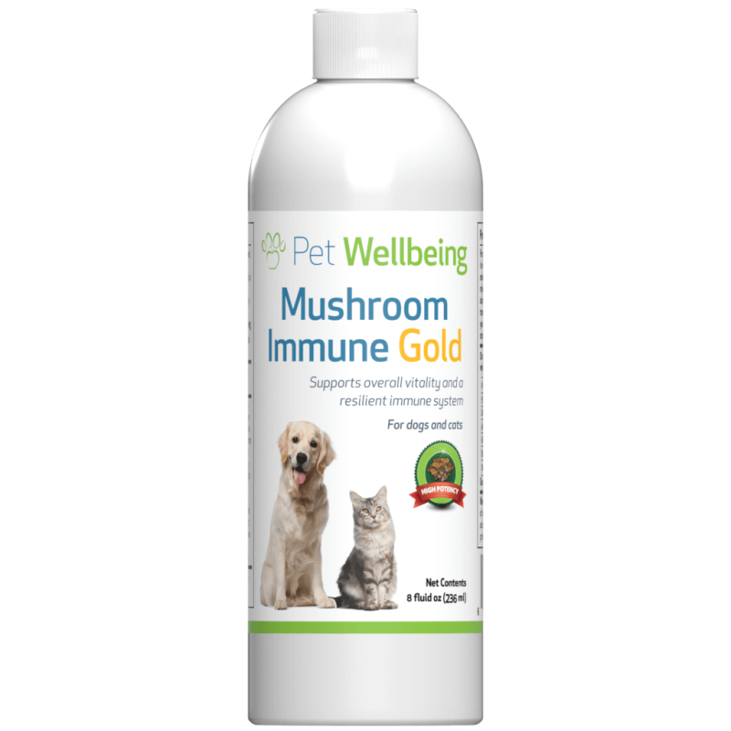 Mushroom Immune Gold - Holistic Feline Cancer Support
