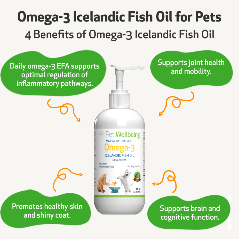 Omega-3 Daily Wellness - For Skin, Joint, Brain, And Heart Health