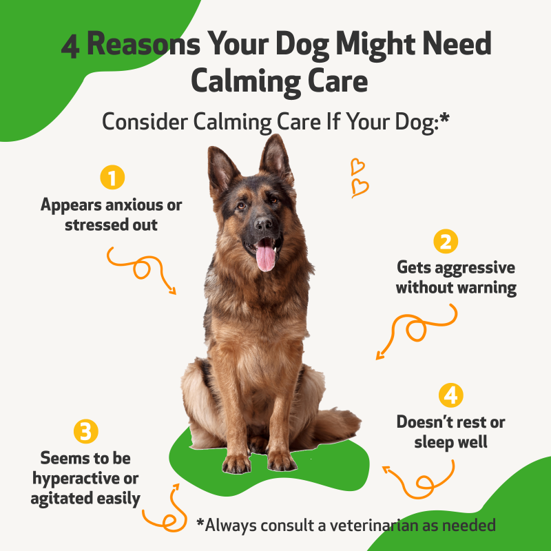 Calming Care - For Dog Anxious Behavior