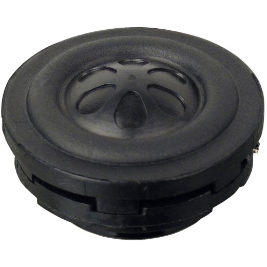 Tang Band W1-1925Sb 1 Poly Cone Full Range Driver