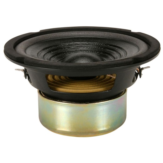 Goldwood Gw-406D 6-1/2 Poly Dvc Subwoofer Shielded