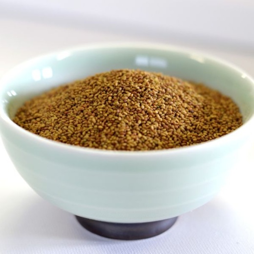 Alfalfa Seed 25 Lb. Bag - Nutrient-Rich Sprouting Seeds