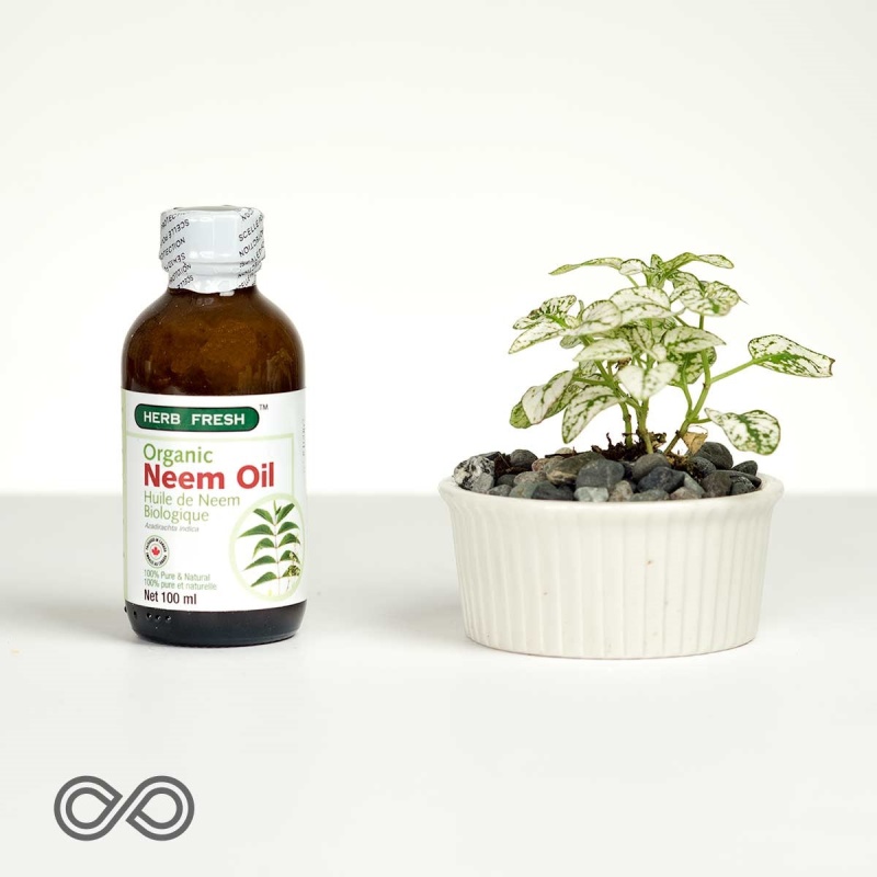100% Organic Neem Oil Skincare (100Ml)