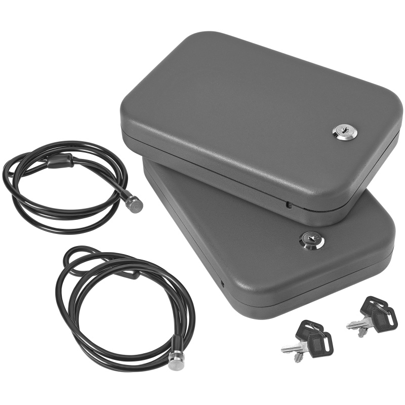 SnapSafe Large Lock Box, 2 Pack