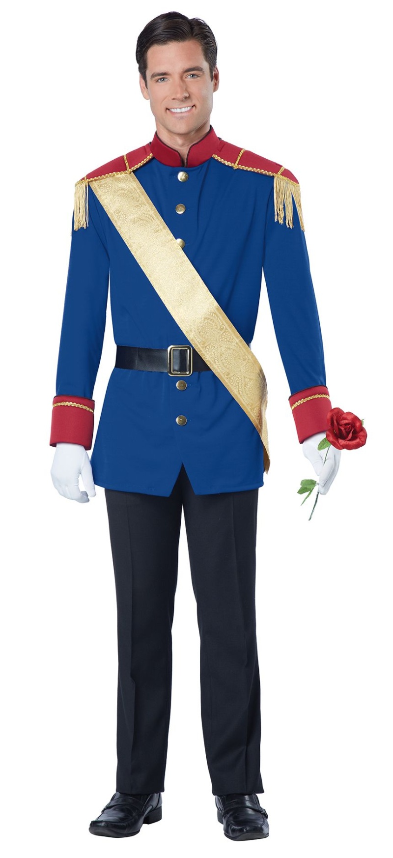 California Costumes Men's Storybook Prince Costume, Blue/Red, Small
