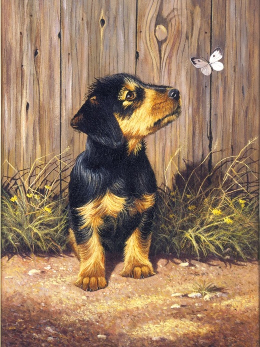 Junior Small Paint By Number Kit - 8.75 Inch X 11.75 Inch Dachshund Puppy