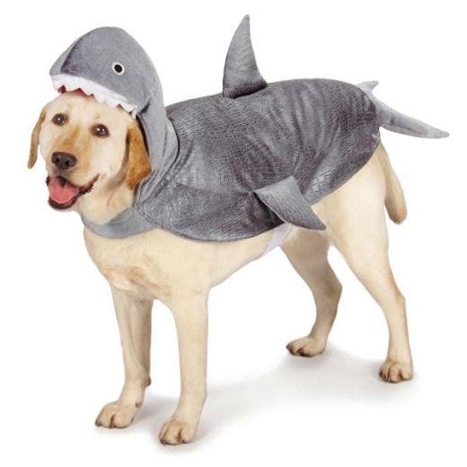 Casual Canine Shark Costumes l