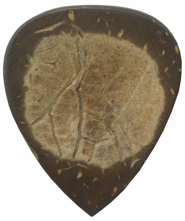 Steve Clayton™ Exotic Pick: Coconut Shell, Standard, 3 Pieces