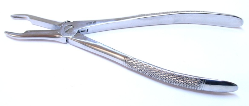 1Pc Dental Instrument 44 Extracting Forceps Stainless Steel