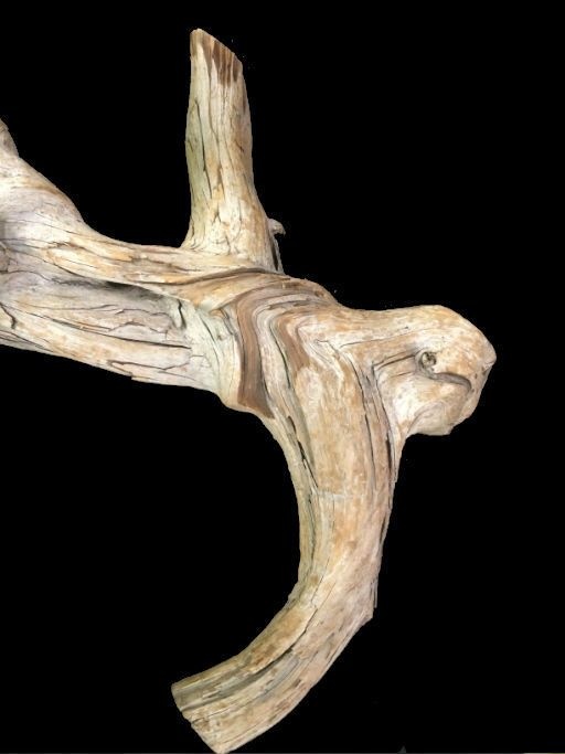 Driftwood 30X13x6 #091004