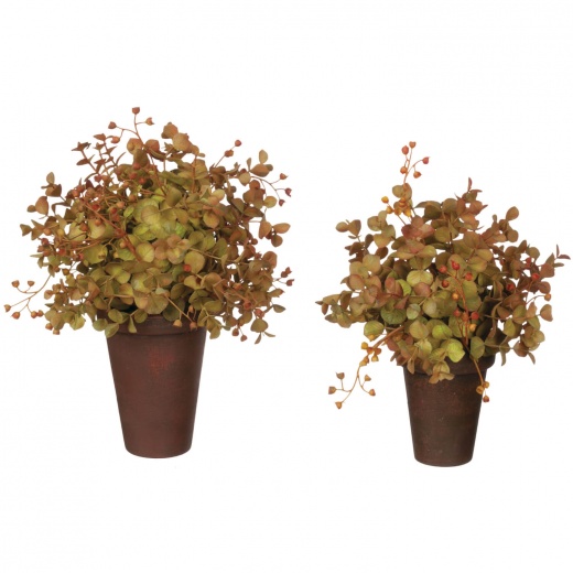 Eucalyptus Potted Orb 2 Asst - Rustic Autumnal Decor
