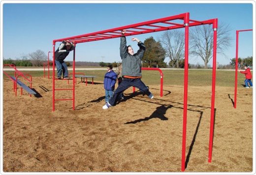 SportsPlay Horizontal Ladder: Galvanized - Playground Fitness Equipment