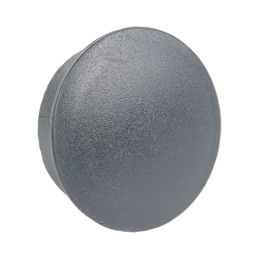 Lifefitness Plug for 1 In Hole