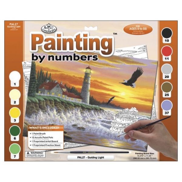 Adult Paint By Number Kit