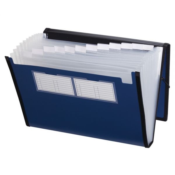 Pendaflex Professional Poly Expanding File, 13 Pockets, Letter Size, Metallic Blue