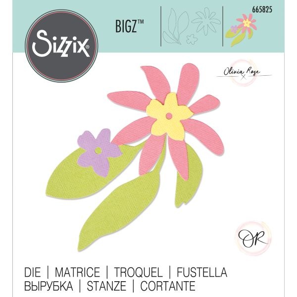 Sizzix Bigz Die By Olivia Rose