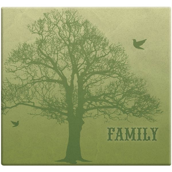 Mbi Family Tree Post Bound Album W/Name Window 12"X12"