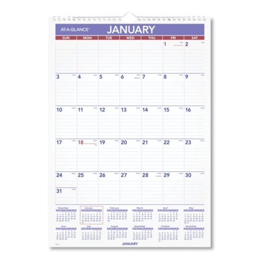 At-A-Glance Monthly Wall Calendar with Ruled Daily Blocks, 12 x 17, White Sheets, 12-Month (Jan to Dec): 2025