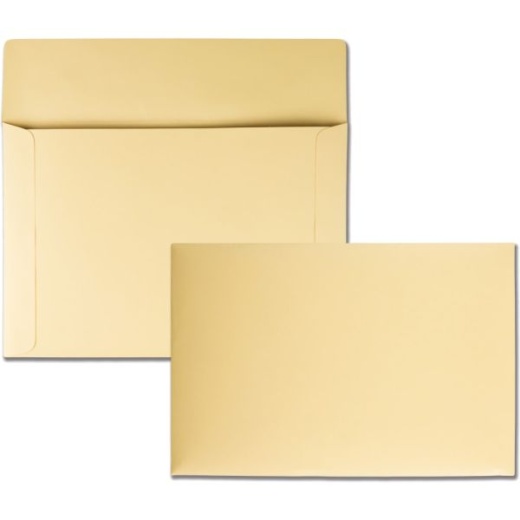 Quality Park Filing Envelopes, #10, 10" x 14-3/4", Cameo, Pack of 100 Envelopes