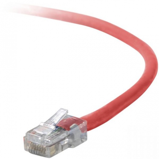 Belkin Cat5e Cable - Reliable Network Connectivity