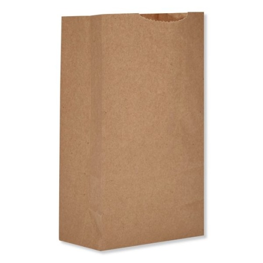 Ross & Wallace Paper Products Grocery Paper Bags, 2# Size, X-Heavy-Duty, 50# Basis Weight, 4.13" X 2.63" X 7.88", Kraft, 250 Bags/Pack, 2 Packs/Bundle