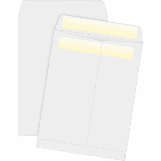 Business Source Press/Seal Catalog Envelopes - 10" x 13" Self-Sealing Envelopes
