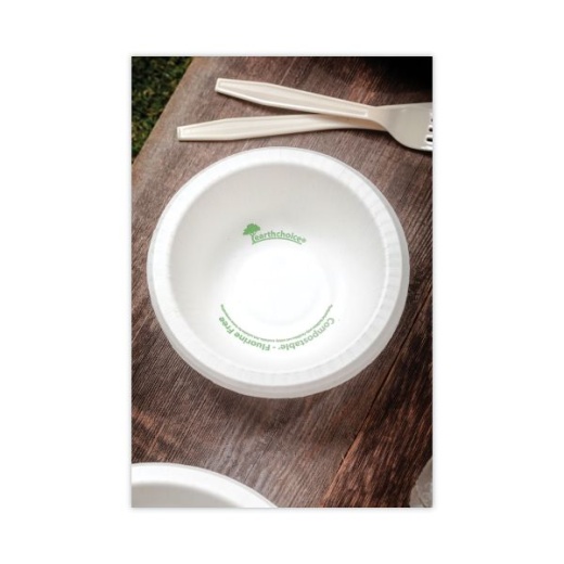 Pactiv Unlaminated Foam Dinnerware, Bowl, 12 oz, 6 Dia, White, 1,000/Carton