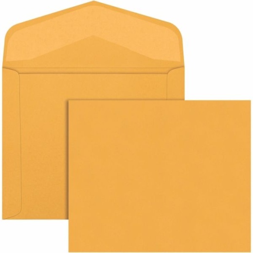 Quality Park 10 x 12 Extra Heavyweight Document Mailers - Catalog - 10" Width x 12" Length
