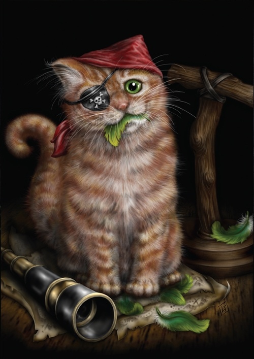 Pirate Kitten Card - 6 Pack
