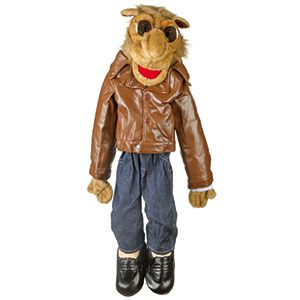 28" Camel In Brown Jacket
