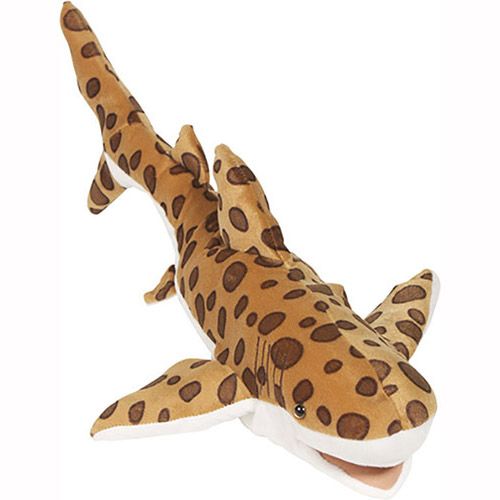 24" Leopard Shark